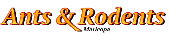 Maricopa Ant Exterminator & Rodent Control Company Logo